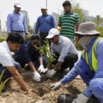 Indian Embassy and Qatar Municipality joint tree planting event on World Environment Day.