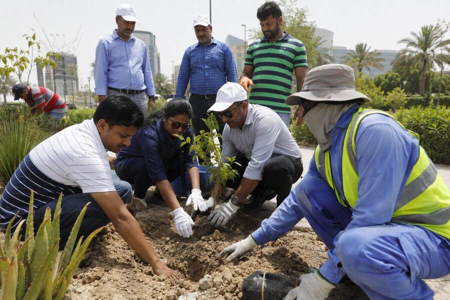 Indian Embassy and Qatar Municipality joint tree planting event on World Environment Day.